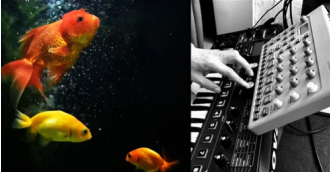Experimental music